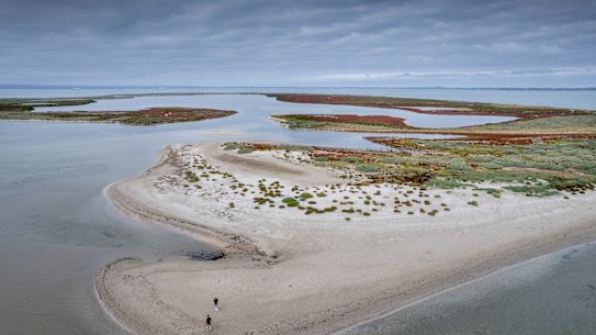 Mud Islands 