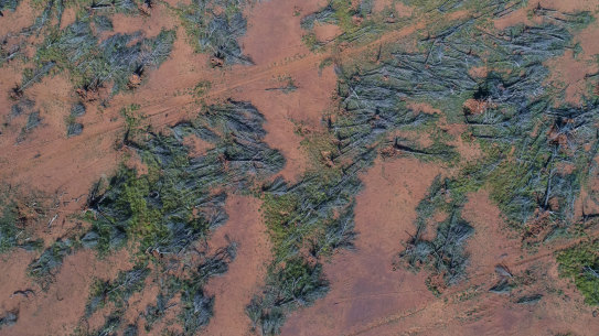 Land clearing in western NSW.