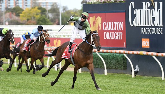 Incentivise, ridden by Brett Prebble, takes out the Caulfield Cup on Saturday.