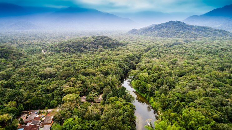 smh.com.au - Sue Williams - To truly get away from it all, nothing beats the world's largest river