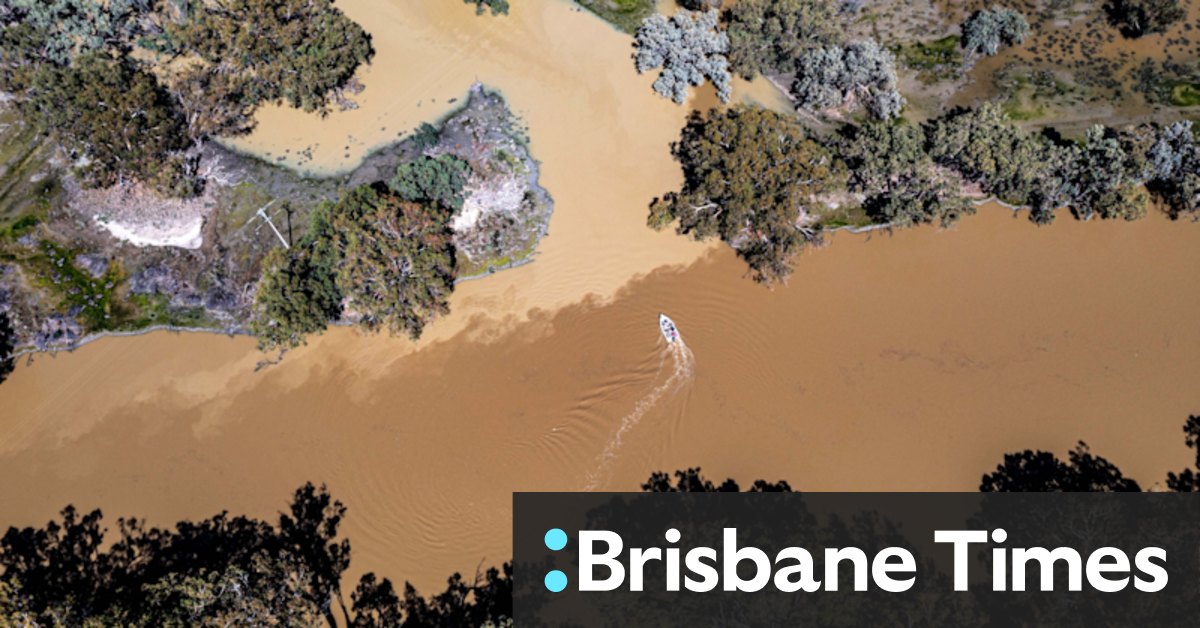 River managers fight to save Menindee Lakes from flood of deadly blackwater - Vimarsana News