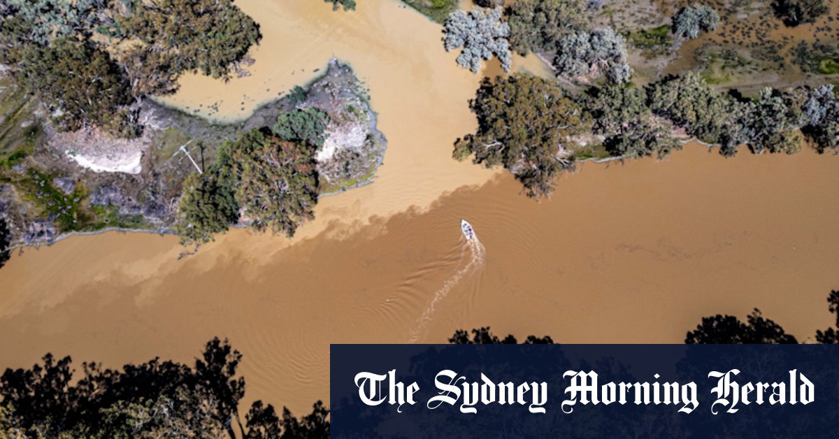 River managers fight to save Menindee Lakes from flood of deadly blackwater - Vimarsana News