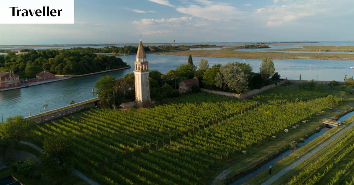 Exploring a hidden vineyard on Mazzorbo island
