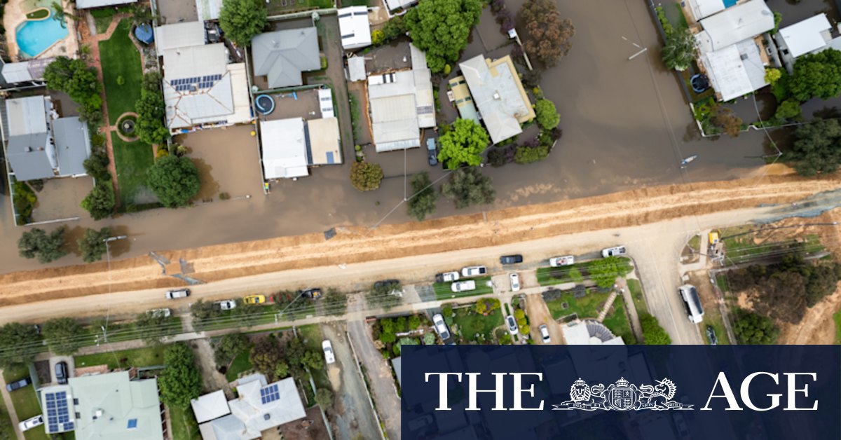 Torrential overnight rain, but Echuca's makeshift levee holds - Vimarsana News