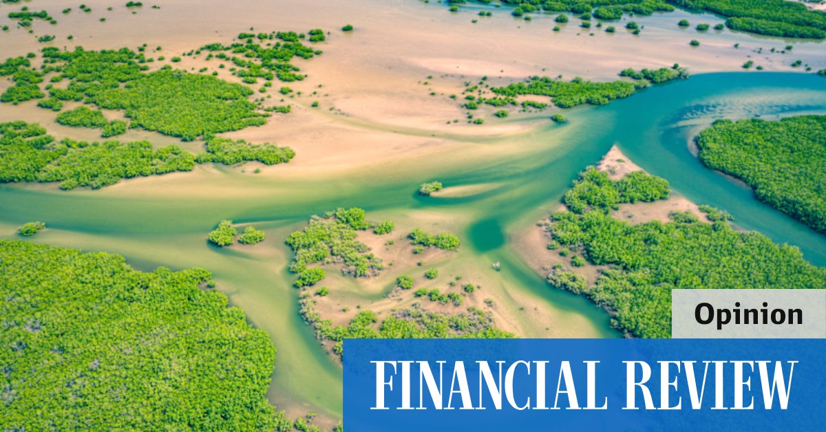 How to sell fake carbon credits: 'I probably will go to jail' - Vimarsana News