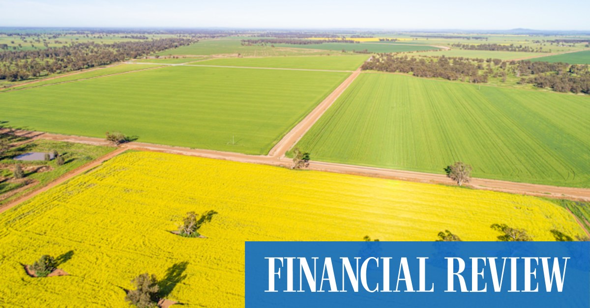 Why rural property is holding its value: corporate buyers tipped to bid for $170m of farming aggregations - Vimarsana News