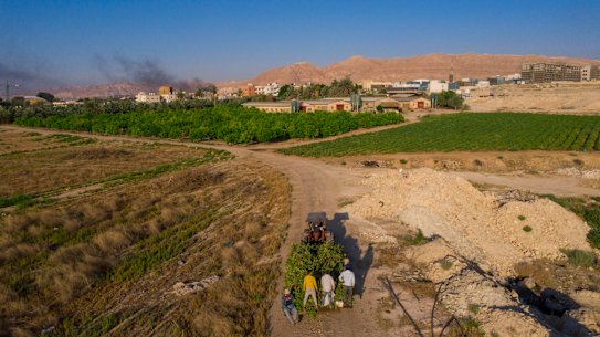 Palestinian farmers ride on a truck loaded with eggplants near the West Bank city of Jericho in the Jordan Valley. Annexation of parts of the valley was to commence on Wednesday.