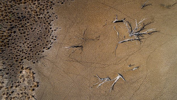 The town of Warren is a gateway to one of Australia's most important wetlands - the fast dessicating Macquarie Marshes.