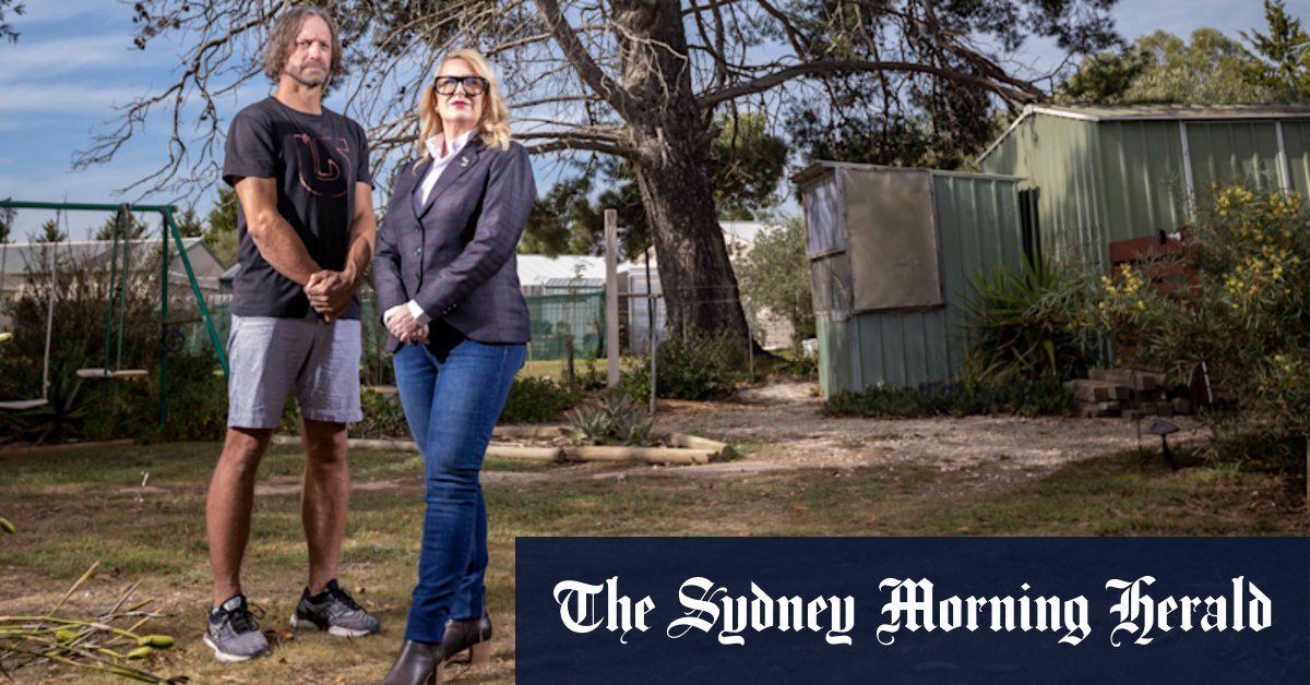 Tree with suspected links to Phar Lap subject of planning dispute - Vimarsana News