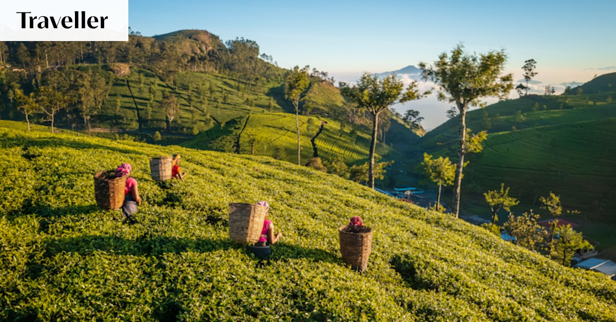 Jetstar’s new route to one of Asia’s coolest destinations takes off