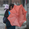 Your giant umbrella is very stylish, but you need to stop being a brolly bully