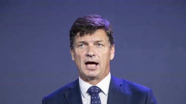 Energy and Emissions Reduction Minister Angus Taylor says Australia wants to drive down the cost of low-emissions technology for developing countries.