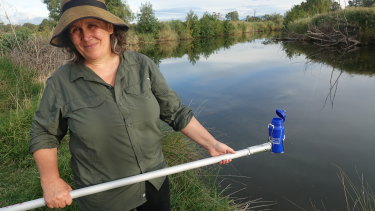 Waterwatch volunteer Anna van Dugteren testing the water at the Jerrabomberra Wetlands.