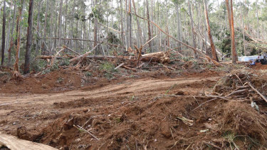 Residents are concerned about salvage logging at Babbington Hill, east of Daylesford.