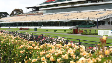 No crowds: Flemington in bloom on Derby Day.