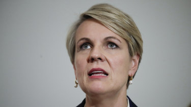 Labor frontbencher Tanya Plibersek says creating jobs in the renewables sector must be a priority in climate policy. 