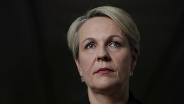 Labor's Tanya Plibersek says the Coalition government should set a target of full employment.