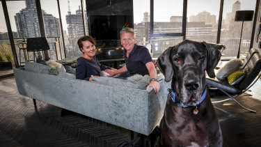 hartz ultraguard for cats collar