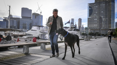 living with a great dane