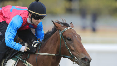 Tricky Gal has secured the last spot in The Invitation.
