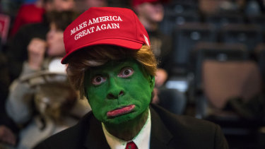 A man wearing face paint to resemble Pepe the Frog ahead of a rally for President-elect Donald Trump in 2016.