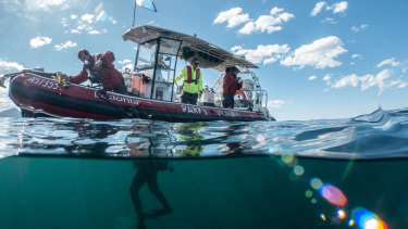 Rangers doing underwater surveying work to measure the impact of climate change at Cape Howe. 