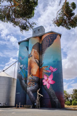 A silo at Kaniva displays an image of an Australian hoby - a type of falcon - surrounded by orchids. It has been painted by David Lee Pereira. 