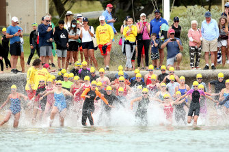 Younger participants take to the water in Saturday’s  Portsea Ocean Swim Classic. 