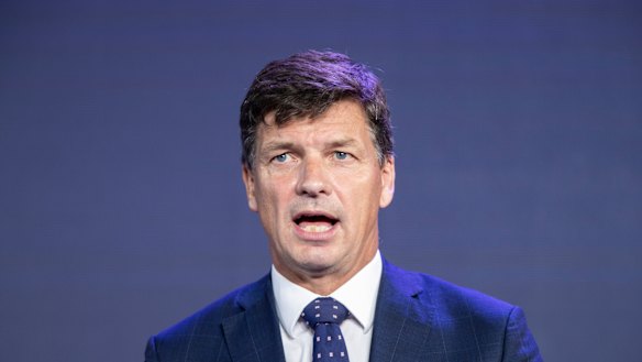 Federal Energy Minister Angus Taylor says the pledges by ASX 200 companies to reduce emissions is the "easy part".