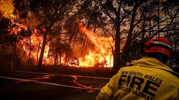 The new trees will be the equivalent of taking a million cars off the road for a year. 