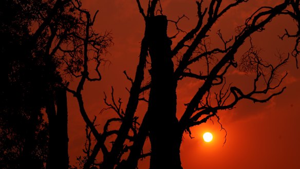 Smoke haze was seen as bushfires burned in Yamba on Monday.