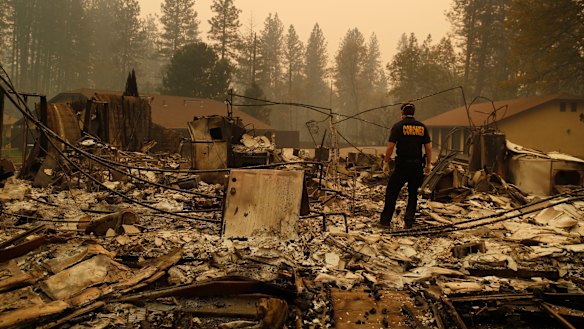A member of the Sacramento County Coroner's office looks for human remains.
