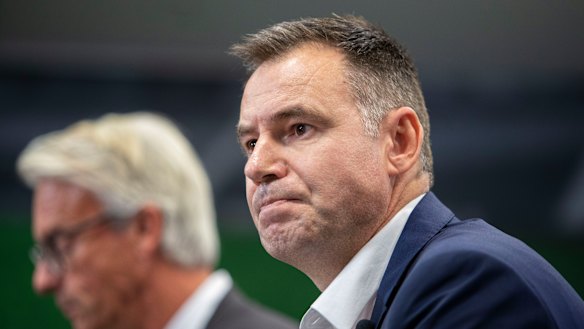 New Matildas boss Ante Milicic.