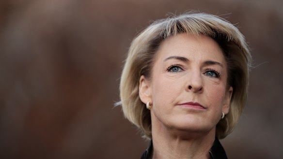 Small Business Minister Michaelia Cash is under pressure on franchising. 