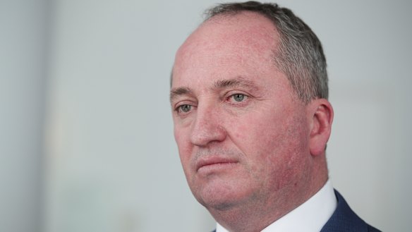 Former deputy prime minister Barnaby Joyce