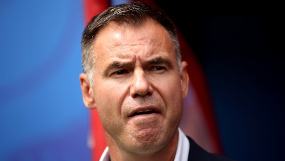 Matildas coach Ante Milicic.