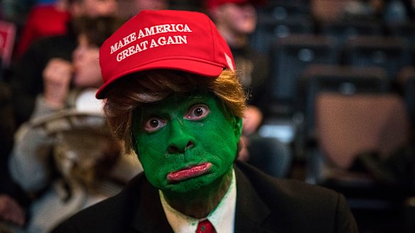A man wearing face paint to resemble Pepe the Frog ahead of a rally for President-elect Donald Trump in 2016.