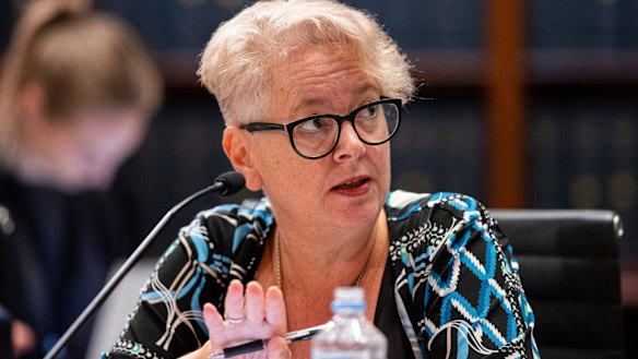 Labor MP Penny Sharpe.