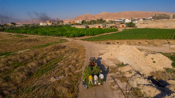 Palestinian farmers near the West Bank city of Jericho.