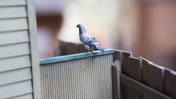 A clay pigeon - detail from David Hourigan's Yarraville pigeon club model.