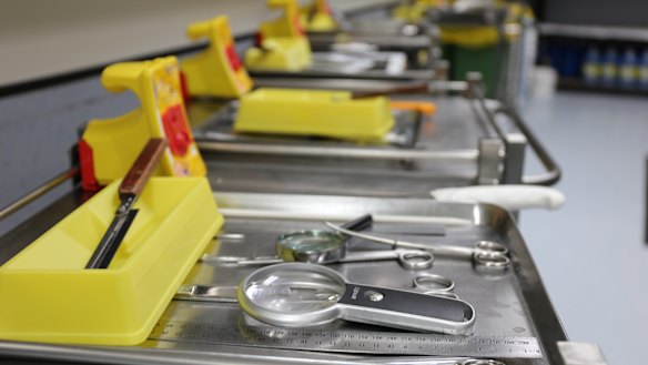 Each forensic pathologist has a tray on a small trolley.