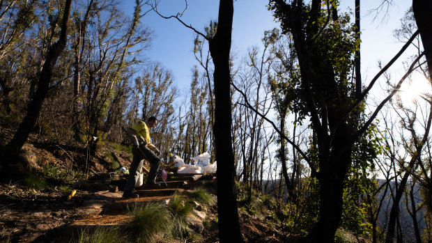 James Ridder repairs the fire-damaged Braeside walking track in the Blue Mountains.