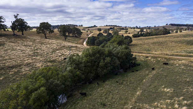 Site of a proposed gold mine near Blayney in the Central West region of NSW. Access to water could be key to its development.