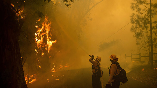 Firefighters battle a wildfire called the Kincade Fire in Sonoma Country, California.  