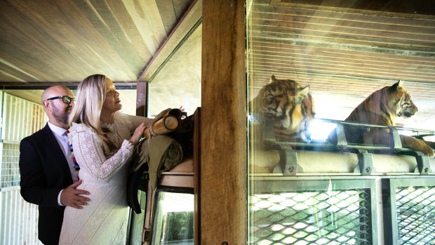 Tahi Cody said Taronga Zoo was the “perfect location” for her wedding because her grandfather had been a zoo keeper for more than 30 years.