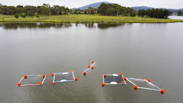 The five separate water columns at Lake Tuggeranong, which go 10 metres deep and hold 160,000 litres of water each.