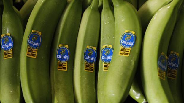 A tray of freshly picked Chiquita bananas are readied for packing and export at a farm in Ciudad Hidalgo, Chiapas state, Mexico.