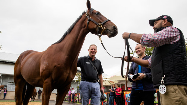 Inglis' Warwick Farm complex is at the heart of the auctioneer's legal pursuit of the Australian Turf Club.