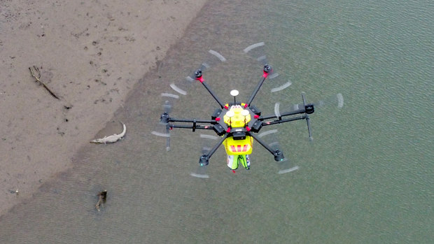 The Wetpac Little Ripper drone, which incorporates croc-spotting technology, in action above the Mowbray River.