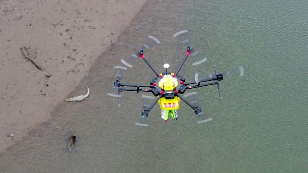 Croc-spotting drones to patrol north Queensland skies